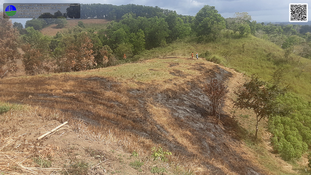 thumbnail of  From fire-prone to fire-proof: how trees and crops can prevent wildfires