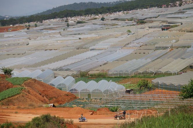 thumbnail of  Viet Nam uses the Land-Use Planning for Multiple Environmental Services framework for its provincial green-growth action plan