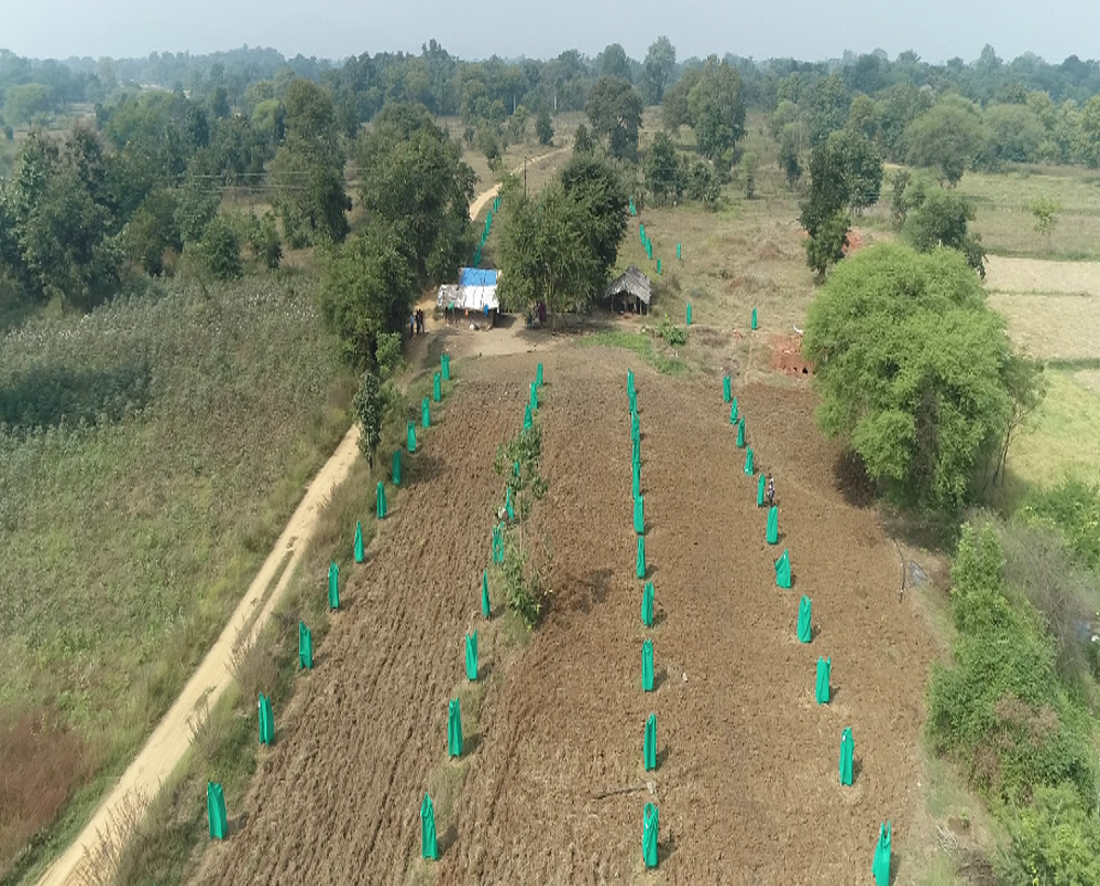 thumbnail of  Innovative farming is reducing migration and malnutrition in India