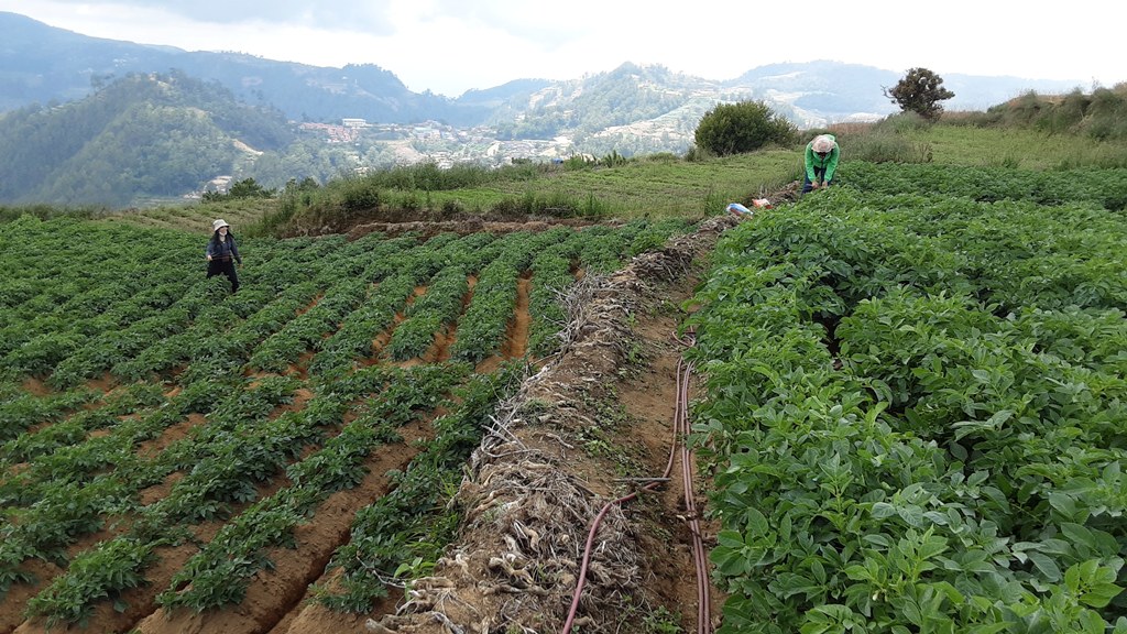 thumbnail of  Multi-stakeholder partnership towards sustainable land management