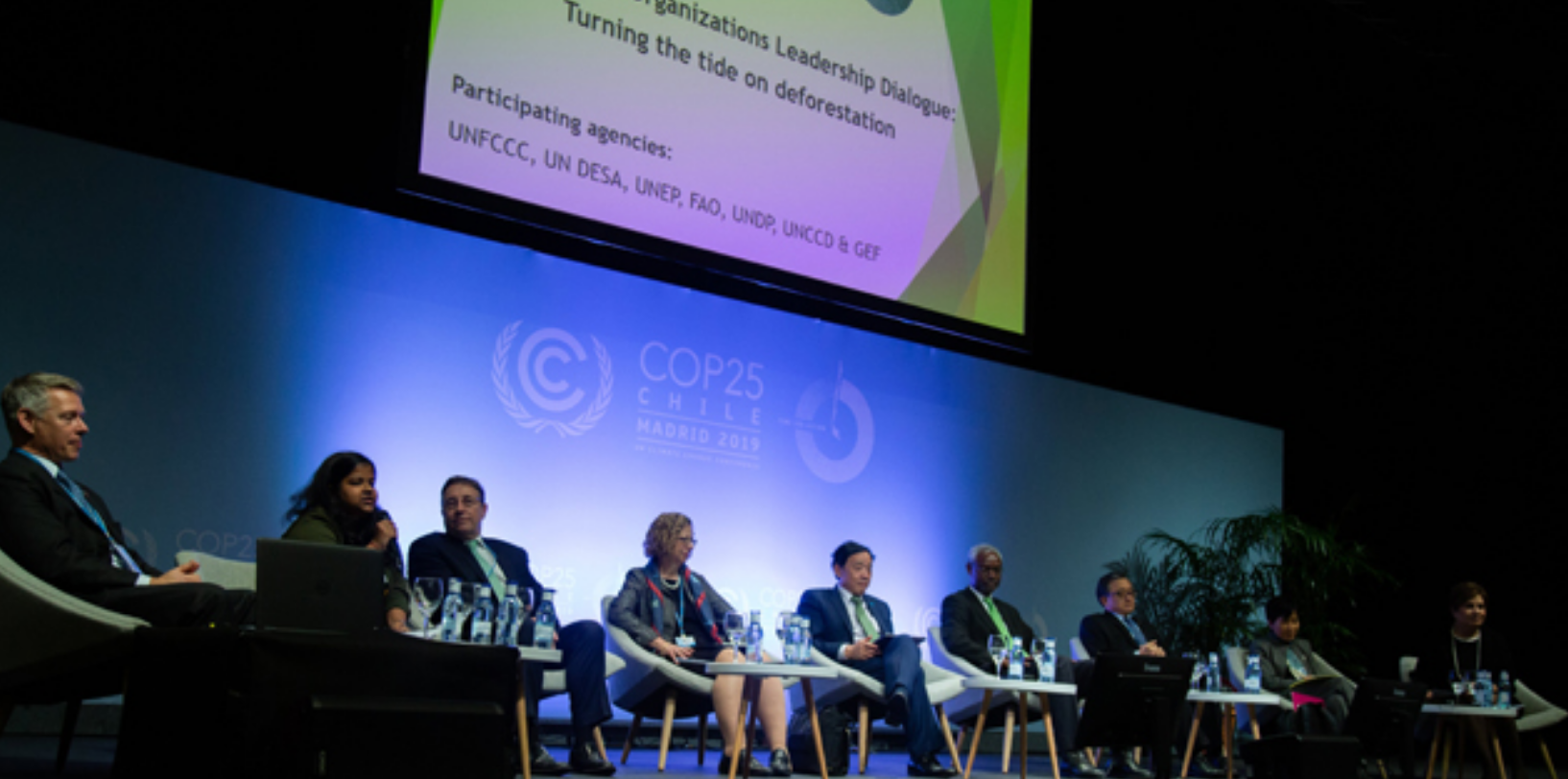 thumbnail of  UN chiefs strengthen collaboration to achieve zero deforestation