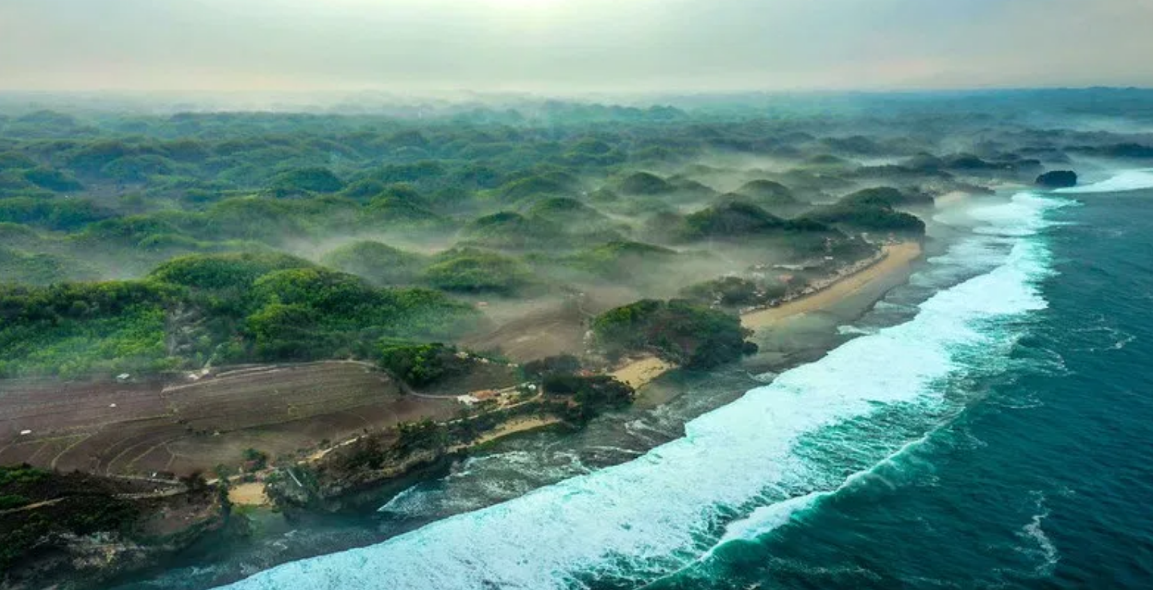 thumbnail of  How trees and water fuel sustainable communities