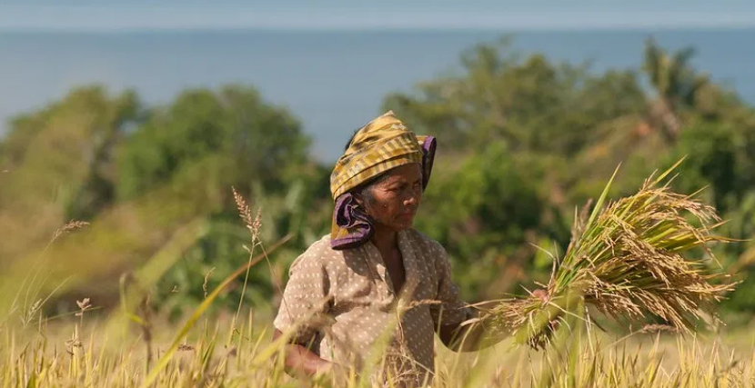 thumbnail of  GLF Bonn: Food systems in focus at a time of crisis