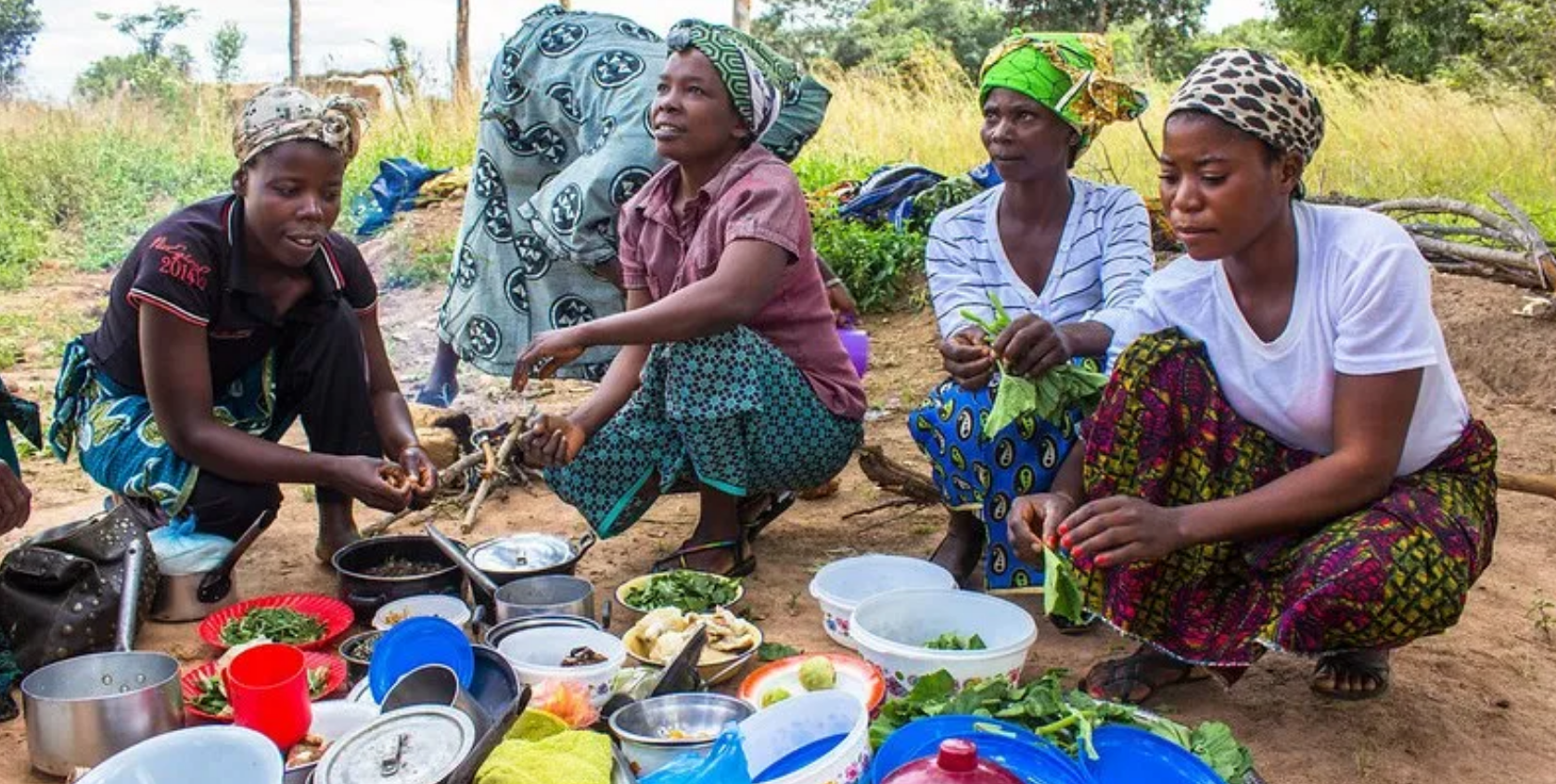 thumbnail of  Is our current food system sustainable?