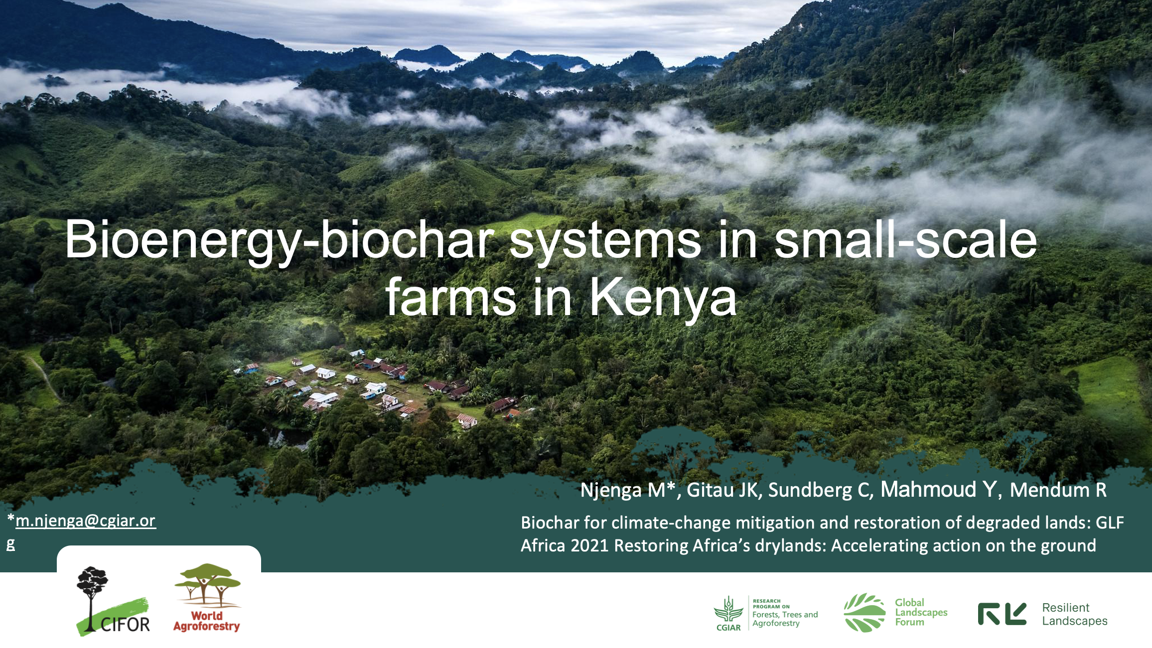 thumbnail of  Bioenergy-Biochar Systems in Small-Scale Farms in Kenya