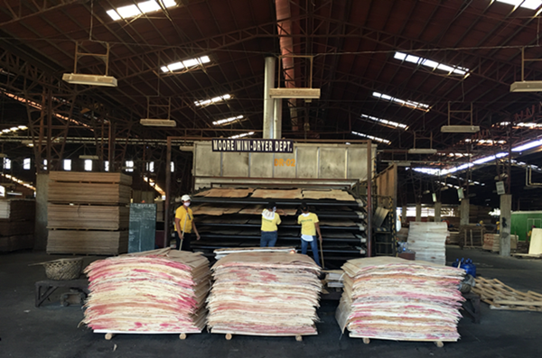 thumbnail of  FEATURE: Trees on paper or trees to sustain livelihoods?