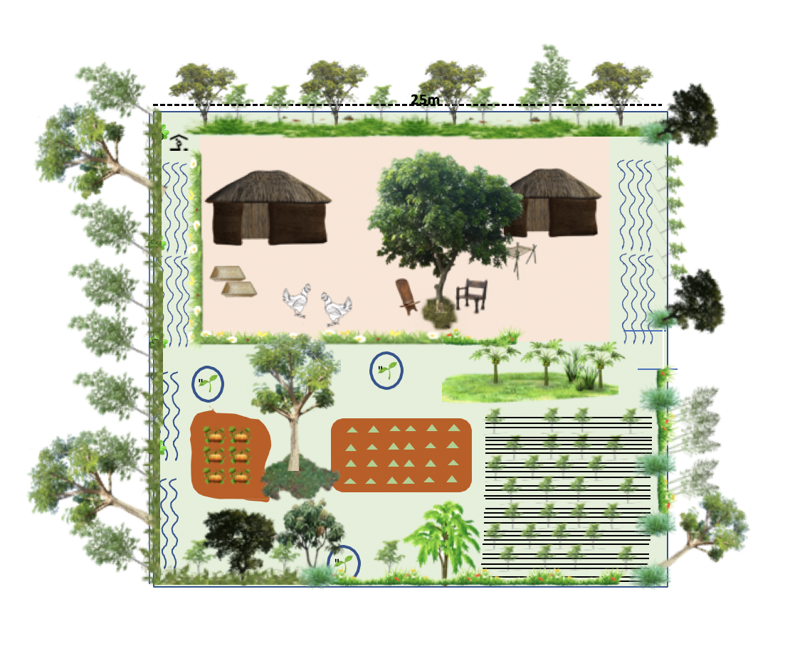 thumbnail of  Options to restock trees in a Ugandan refugee setting: an ICRAF study